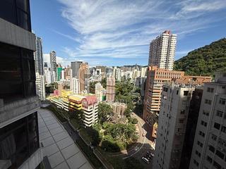 東半山 - 竹林苑78号 02