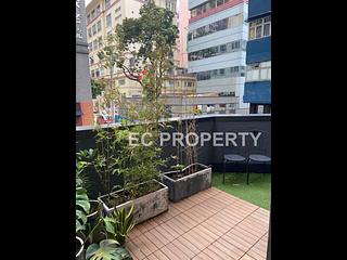 Sheung Wan - Hollywood Hill 08