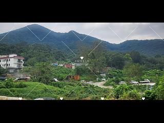 Sha Tin - Fa Sam Hang 13