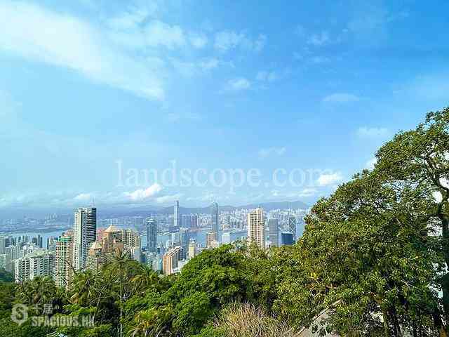 The Peak - Haking Mansions 02