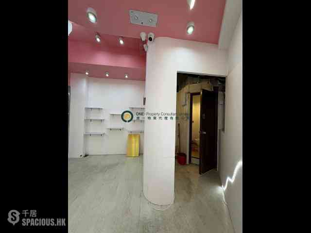 Mid Levels Central - 47A-47B, Caine Road 07