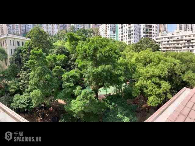 西半山 - 柏道8-10號 03