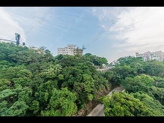 山顶 - 马己仙峡道26号 06