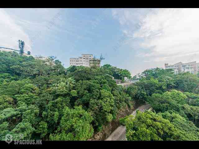 山顶 - 马己仙峡道26号 06