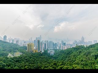 山顶 - 马己仙峡道26号 05