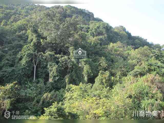 Stubbs Road - Mandarin Villa 02