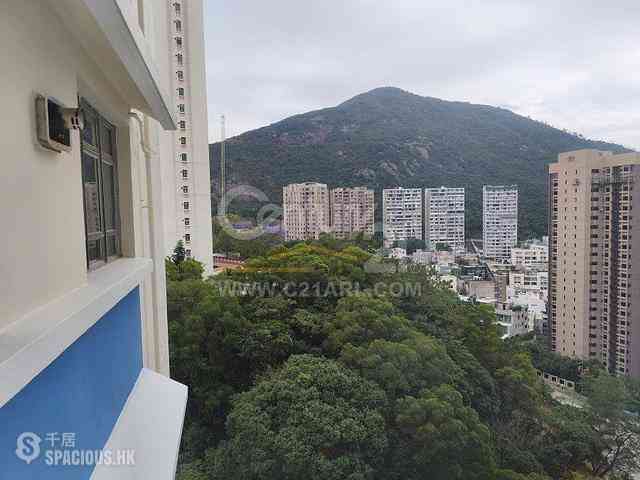 Tai Hang - Aurizon 04