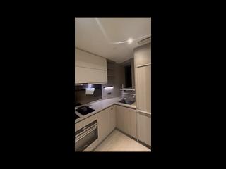 Shau Kei Wan - Lime Gala 02