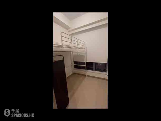 Shau Kei Wan - Lime Gala 05