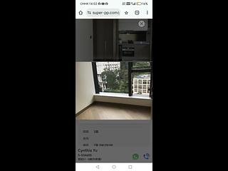 Shau Kei Wan - Lime Gala 11
