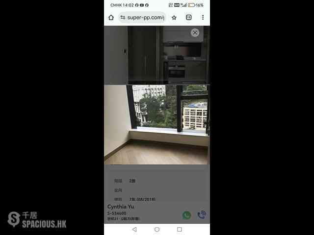 Shau Kei Wan - Lime Gala 11