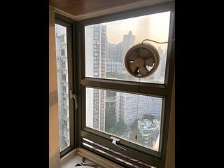Sheung Wan - Urbana 38 05
