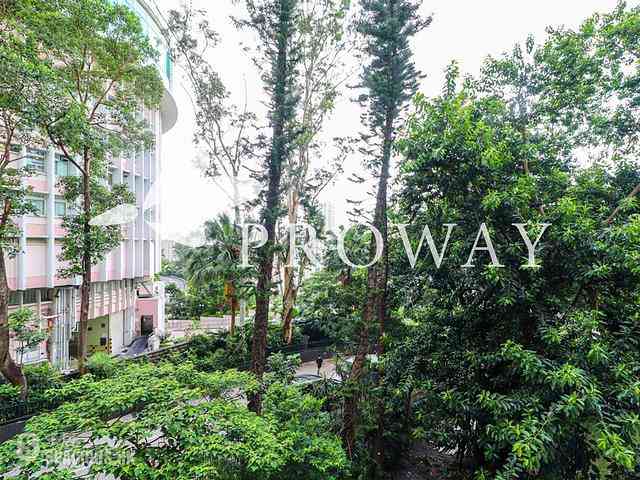 Stubbs Road - Woodland Heights 02
