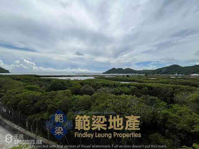 Tai O - Tai O Village 09