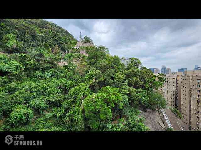 司徒拔道 - 嘉苑B座 03