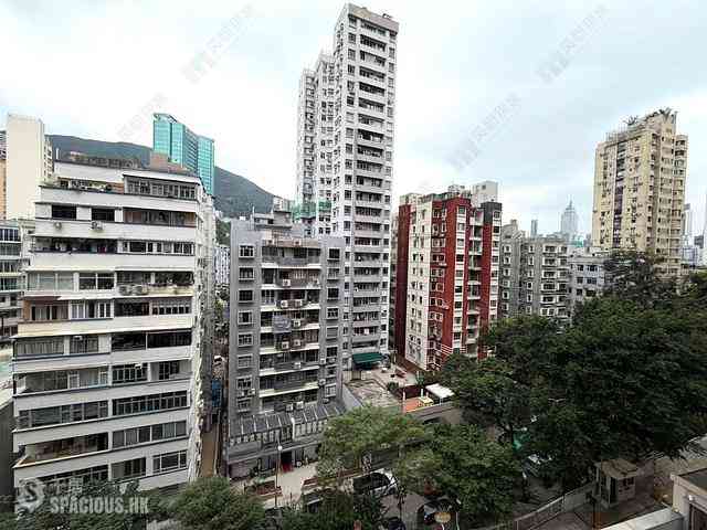 Happy Valley - Ventris Terrace 02