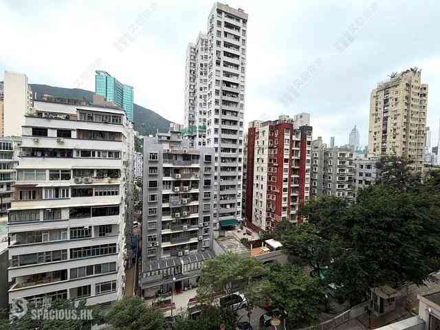 Happy Valley - Ventris Terrace 06