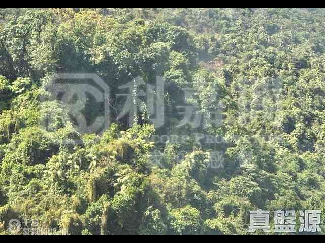 Tuen Mun - Hong King Garden 01