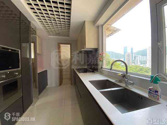 Tai Hang - Swiss Towers Block 4 (Block GH) 02