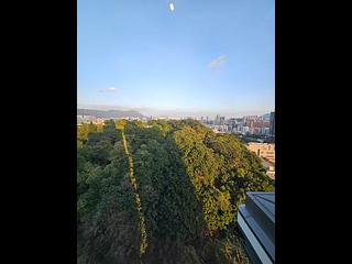 Cheung Sha Wan - The Paddington 14