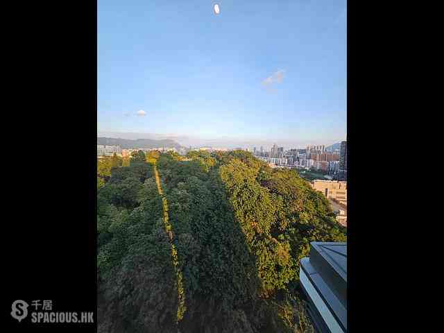 Cheung Sha Wan - The Paddington 14