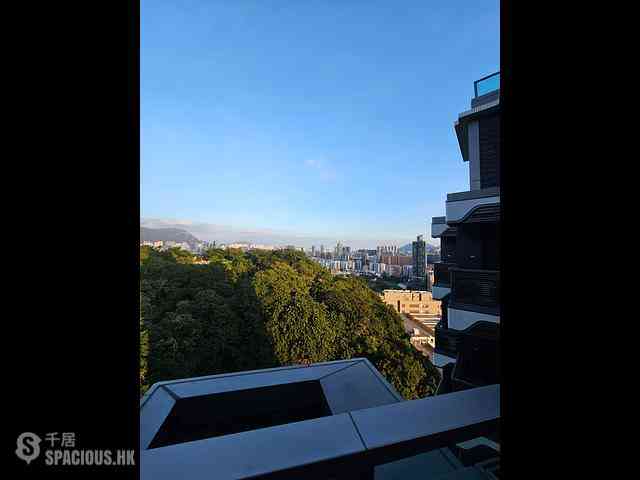 Cheung Sha Wan - The Paddington 15