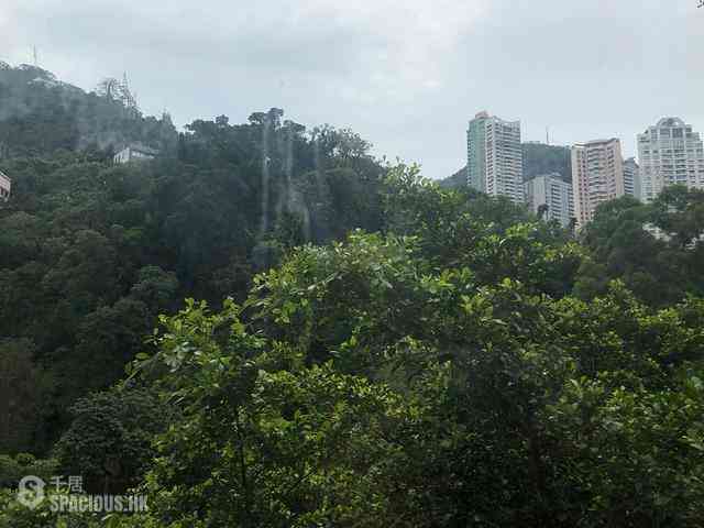 Wan Chai - 2, Monmouth Terrace 03