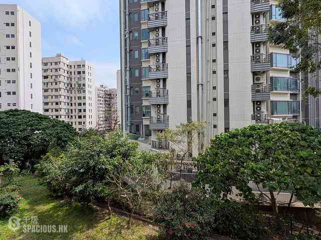 Beacon Hill - Ede Terrace 03
