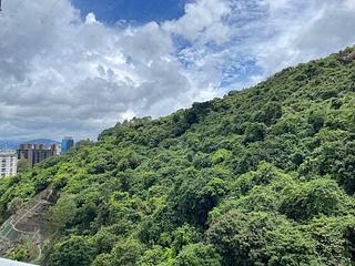 Tai Hang - Serenade Block 2 06