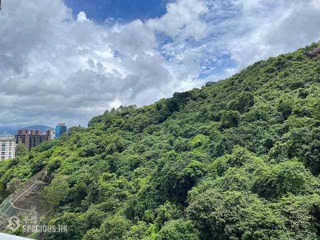 Tai Hang - Serenade Block 2 06