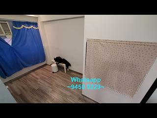 Poho - 7, Tai Ping Shan Street 05