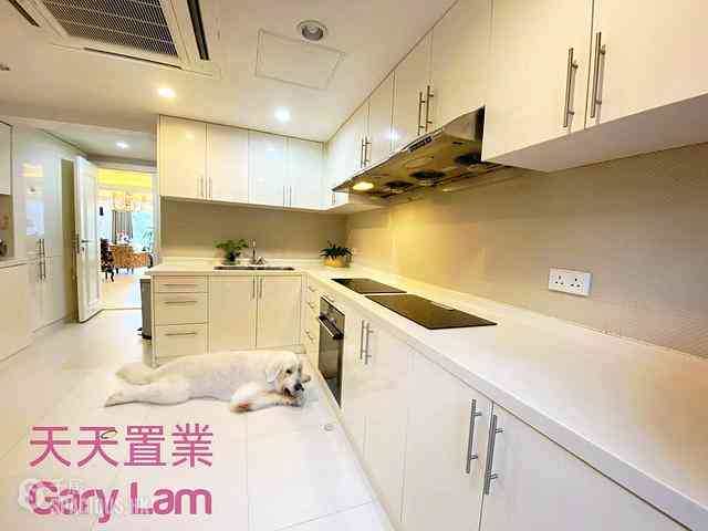 Hang Hau - Junk Bay Villas 04