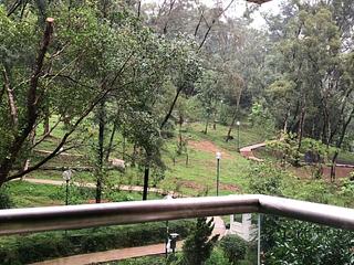 Tai Po Kau - Savanna Garden 04