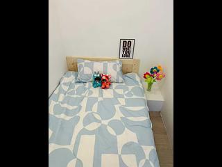 Poho - 12, Tai Ping Shan Street 02