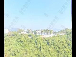 筲箕湾 - 香岛3座 04