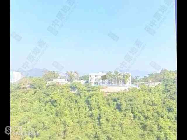 筲箕湾 - 香岛3座 04
