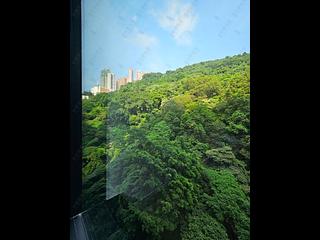 天后 - 柏傲山5座 04