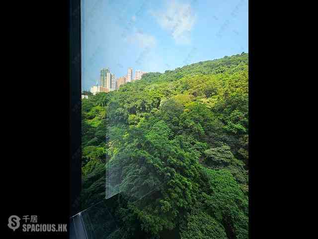 天后 - 柏傲山5座 04