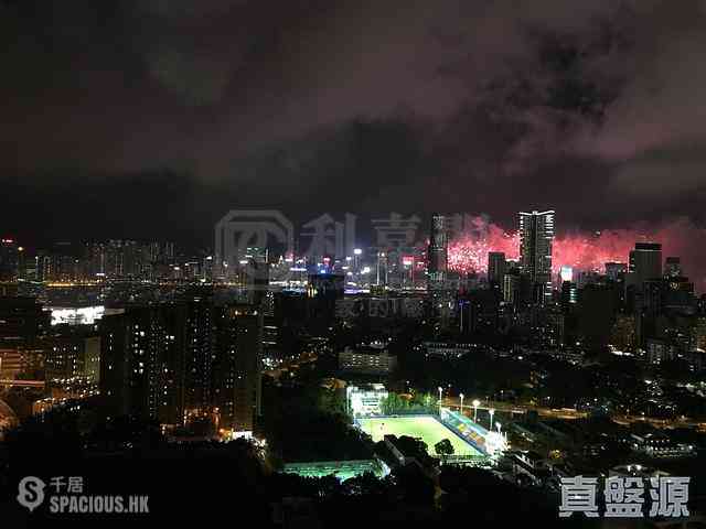 Yau Ma Tei - Parc Palais Block 6 09