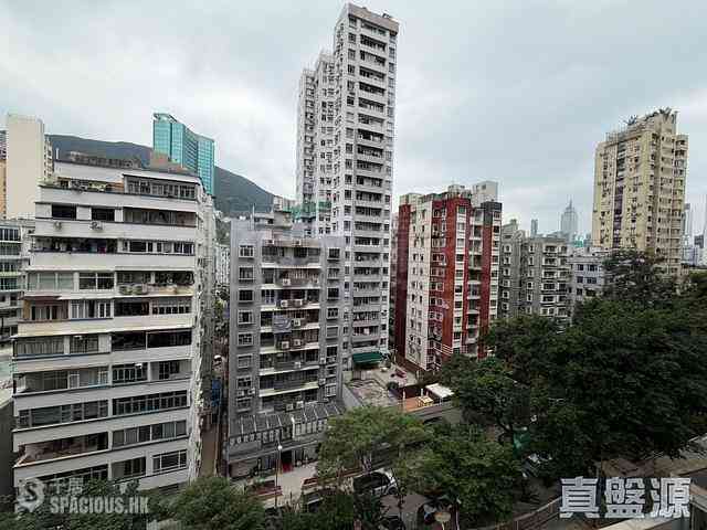 Happy Valley - Ventris Terrace 01