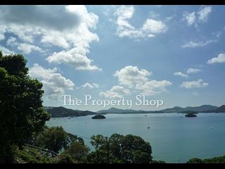 Sai Kung - Violet Garden 11