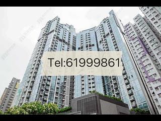 Shau Kei Wan - Lime Gala Block 1A 06
