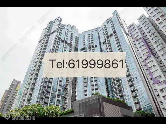 Shau Kei Wan - Lime Gala Block 1A 06