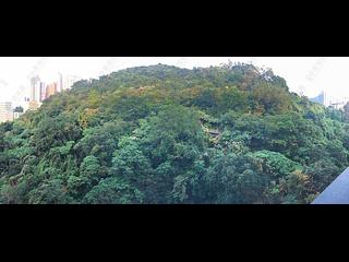 天后 - 柏傲山1座 41