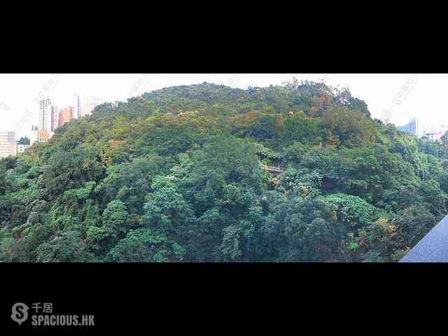 天后 - 柏傲山1座 41