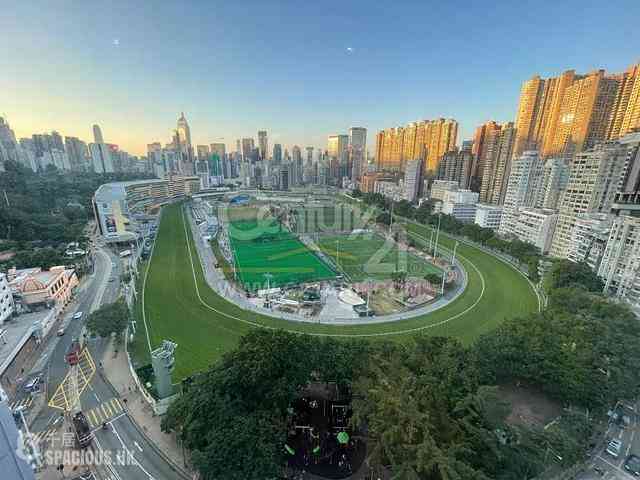 Happy Valley - Unique Tower 01