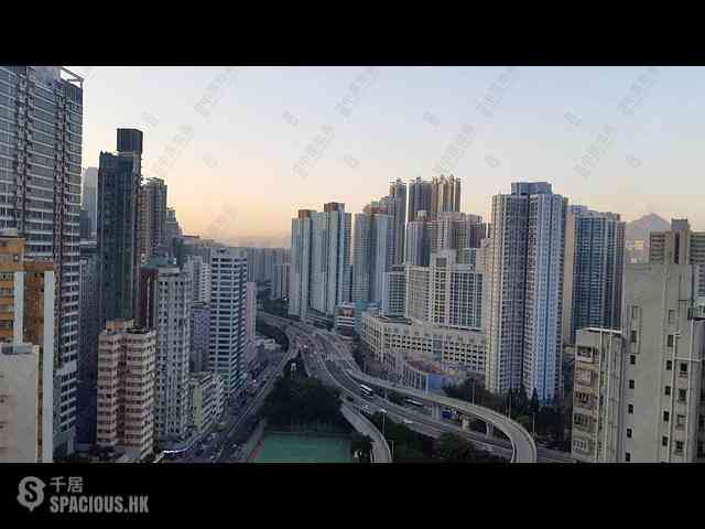 Shau Kei Wan - Lime Gala Block 2 15