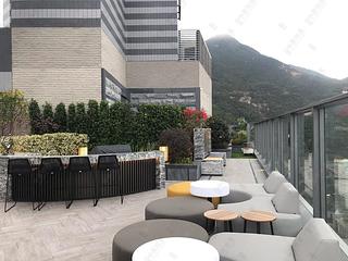 Shau Kei Wan - Lime Gala Block 1B 12