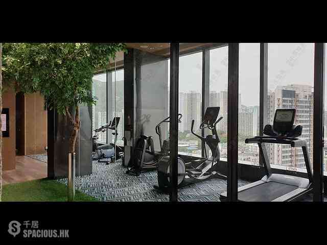 Shau Kei Wan - Lime Gala Block 1B 44