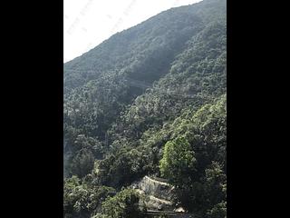 Shau Kei Wan - Lime Gala Block 1B 47